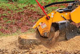 How Our Tree Care Process Works  in  Eufaula, AL