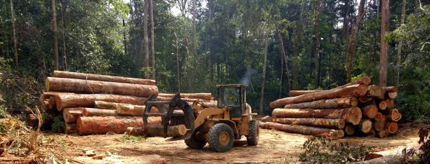 Best Grass Overseeding  in Eufaula, AL